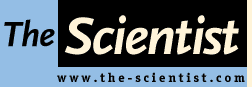 the scientist logo